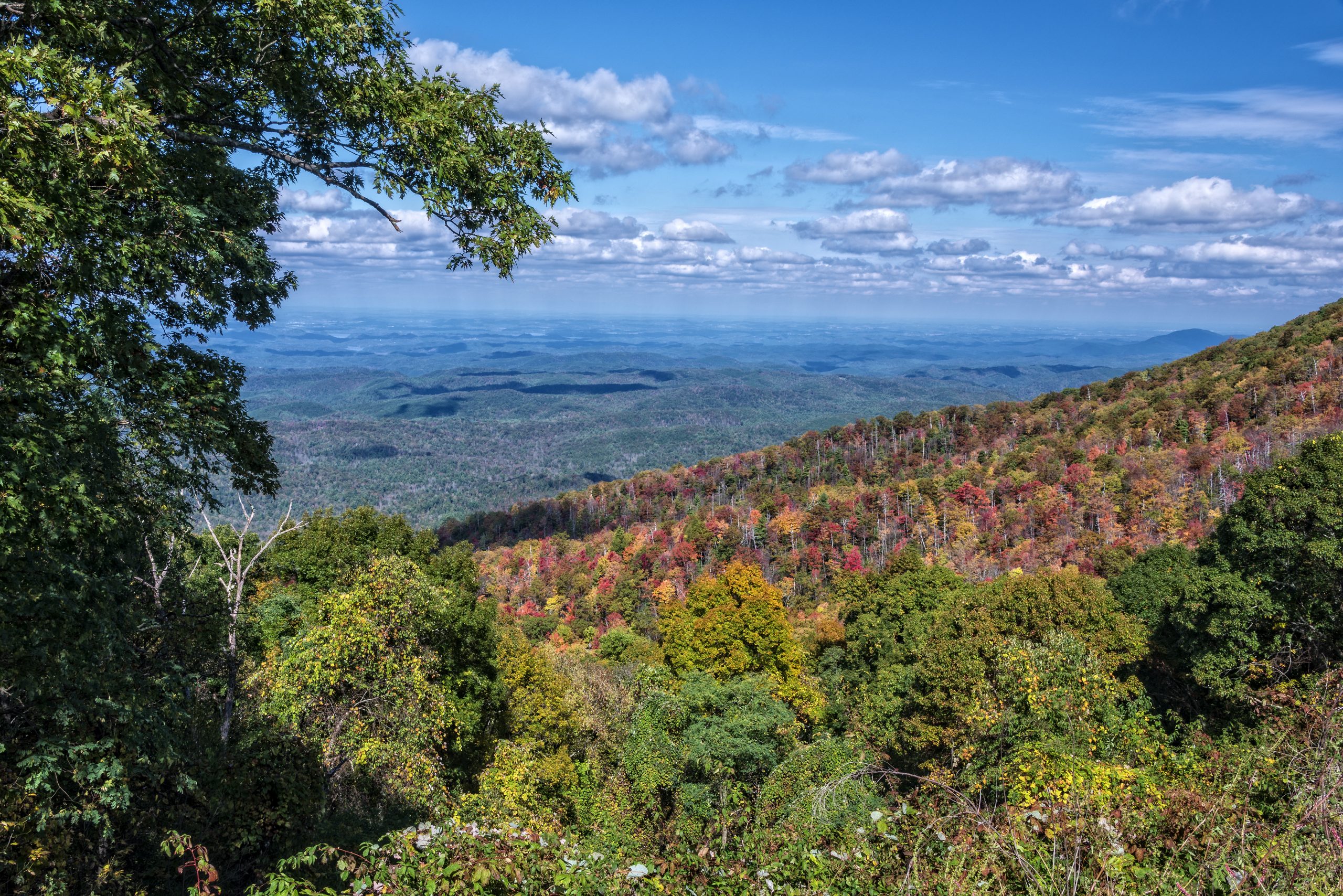 Rewilding Wellness Retreats for Entrepreneurs: A Founder’s Guide to the Reset Daily Life Cannot Give thumbnail