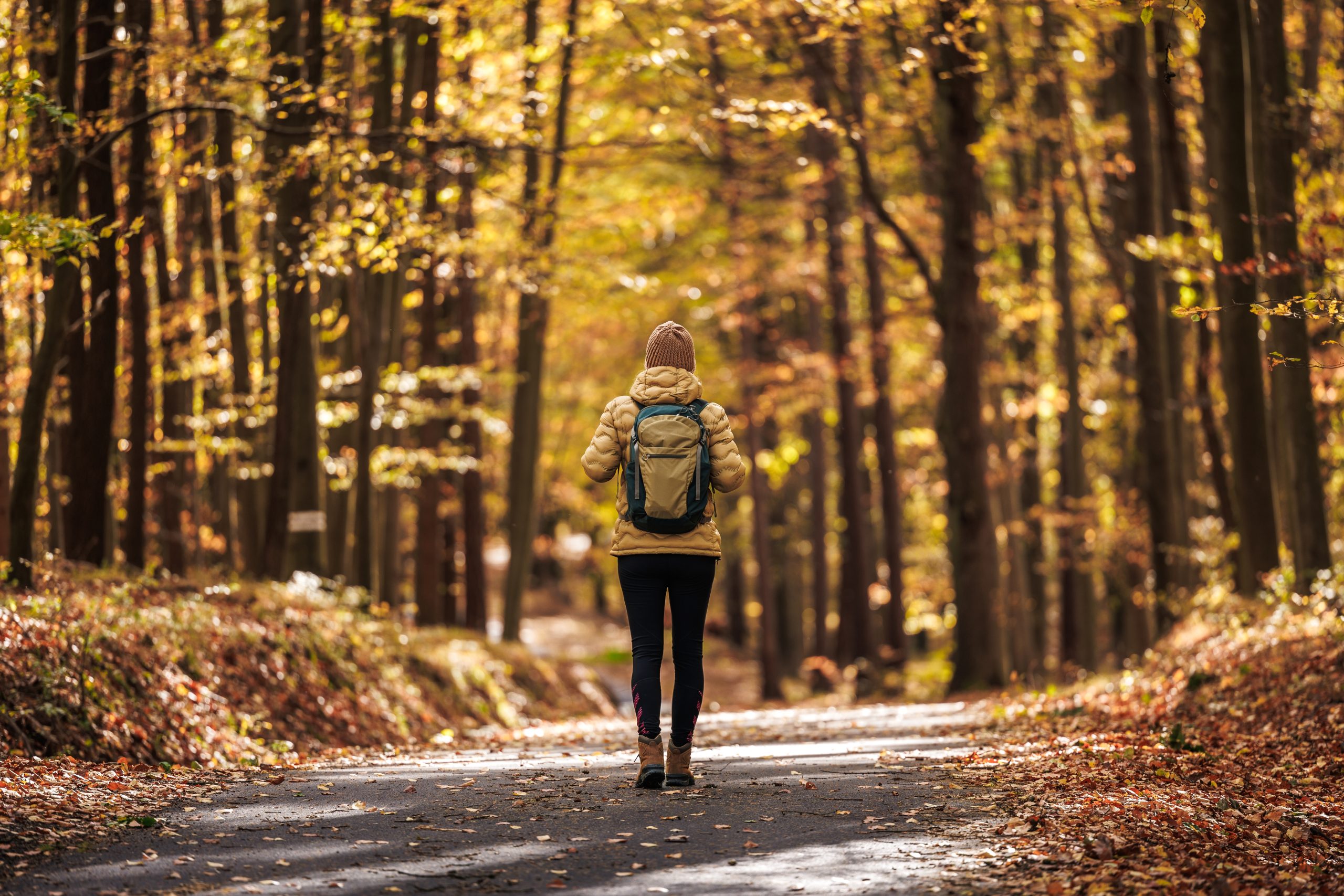 How To Get 10K Steps: The “Micro Walk” – Why 5–10 Minute Walks Might Be the Missing Piece in Your Routine thumbnail