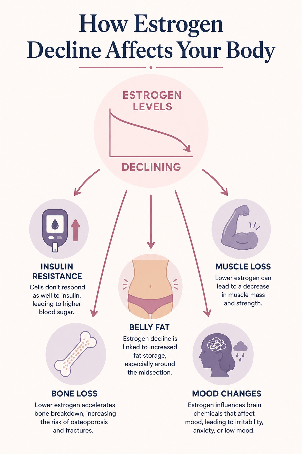 Infographic: 'How Estrogen Decline Affects Your Body' - simple diagram showing estrogen dropping with arrows to: insulin resistance, muscle loss, belly fat, bone loss, mood changes