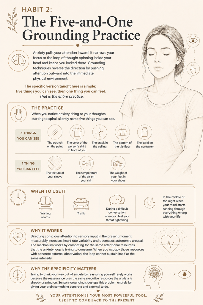 Habit 2: The Five-and-One Grounding Practice to lower cortisol