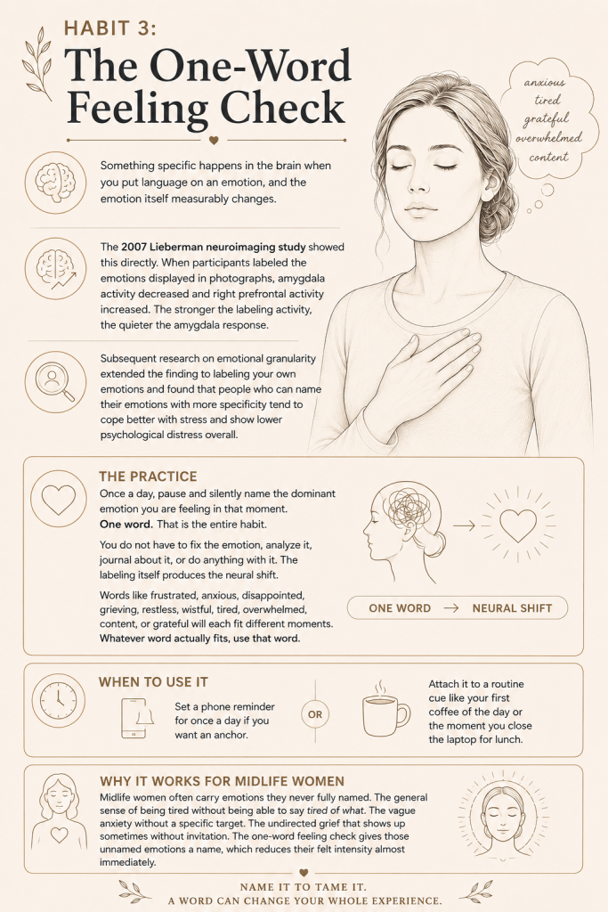 Habit 3: Reduce Stress with The One-Word Feeling Check