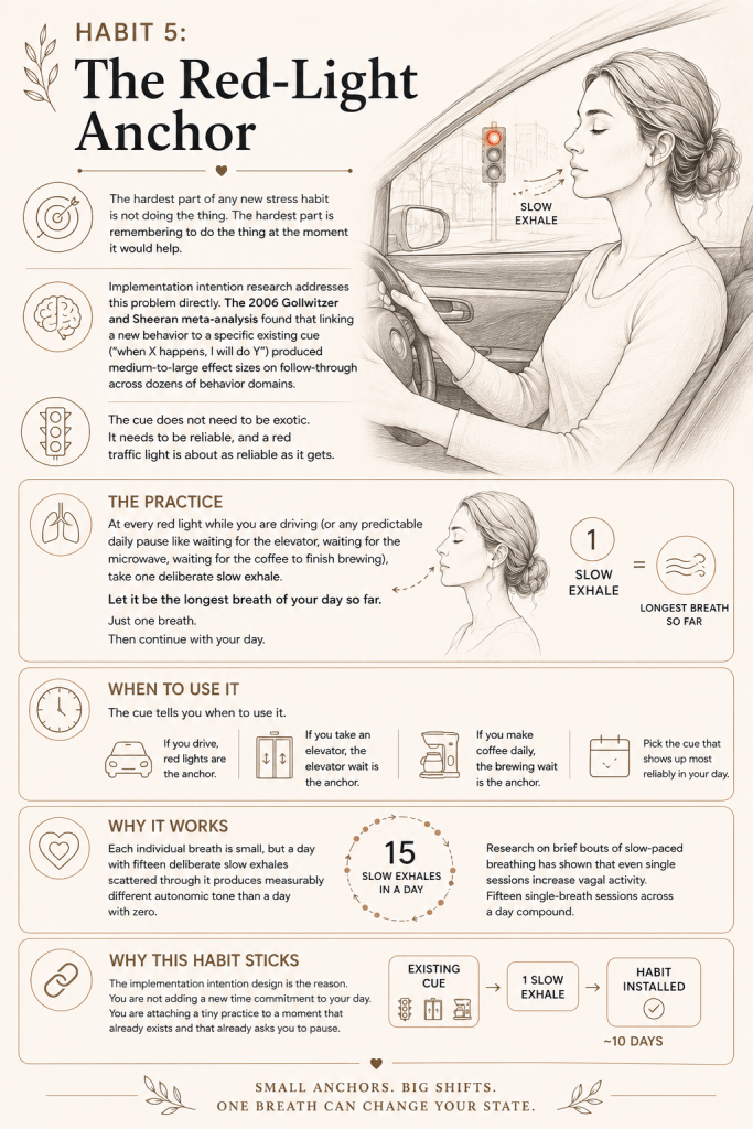 Habit 5: The Red-Light Anchor - Stress Reducing Habit