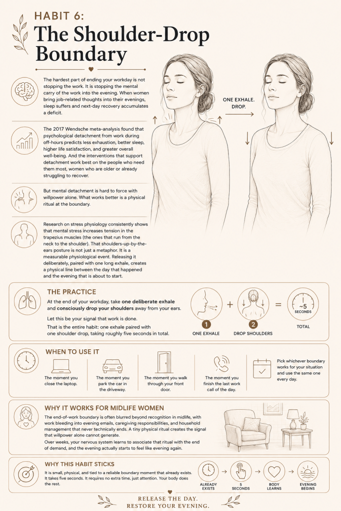 Habit 6: The Shoulder-Drop Boundary To Lower Stress