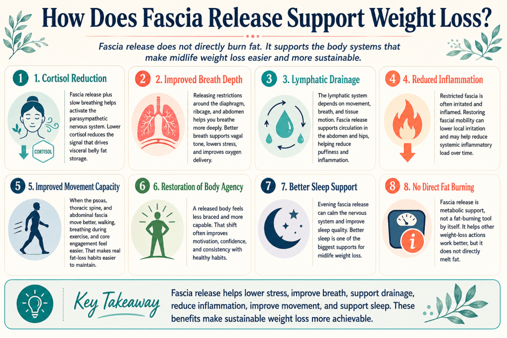 How fascia release supports weight loss