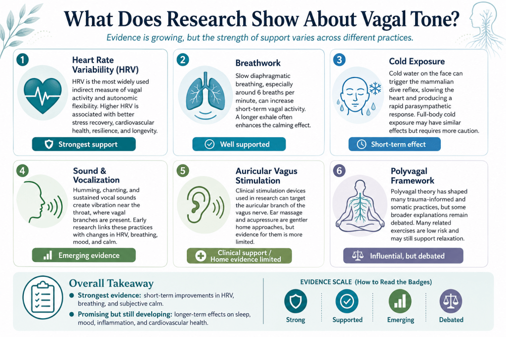 Research findings on vagal tone practices.