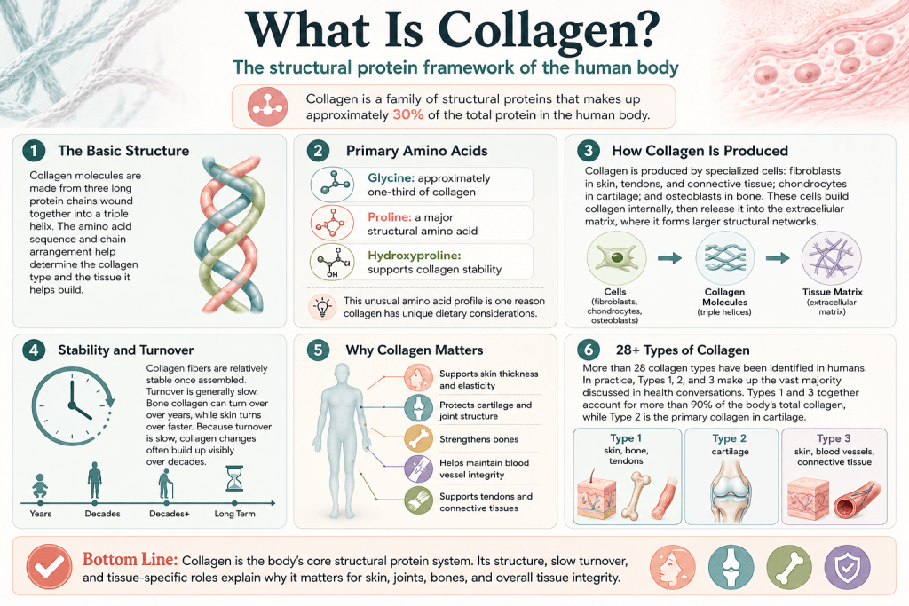 Collagen structure, types, production, and functions infographic.