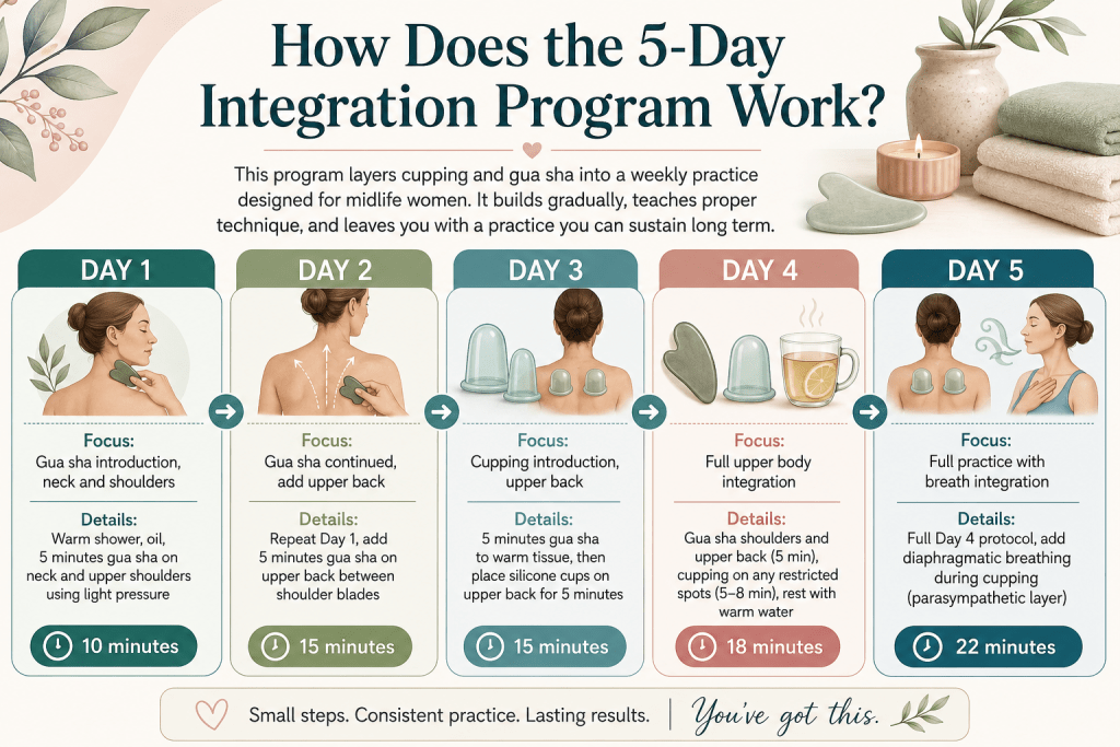 5-day cupping and gua sha integration program.
