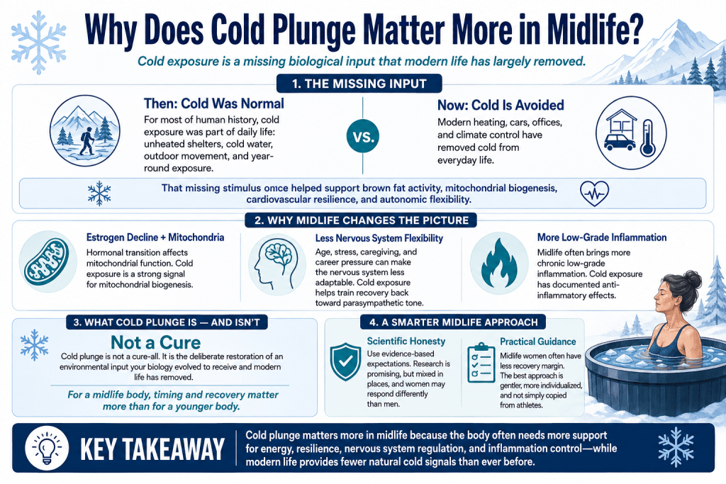 Cold plunge benefits for midlife women infographic
