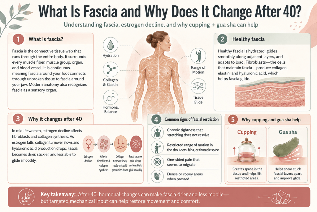 Fascia changes after 40 infographic.