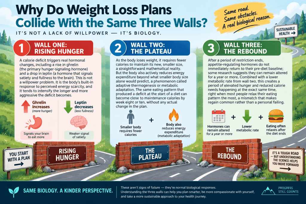 Three common weight loss barriers: hunger, plateau, and rebound.
