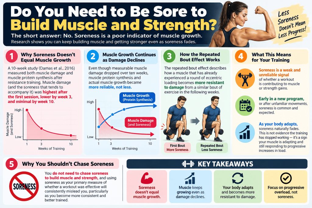 Infographic explaining why muscle soreness is not required for muscle growth and strength.