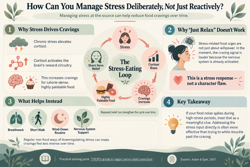how stress increases food cravings and ways to manage them.